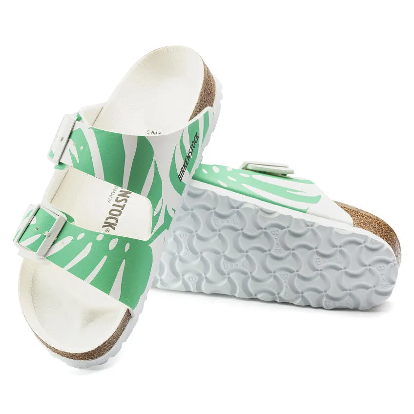 1019334 Arizona Monstera