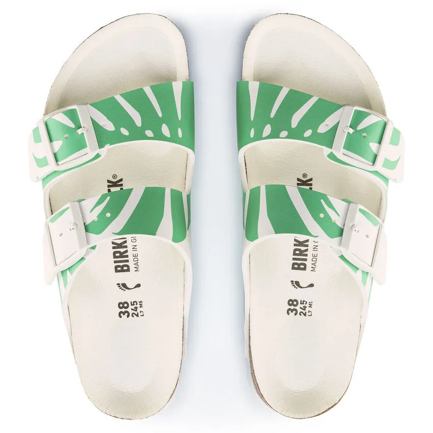 1019334 Arizona Monstera