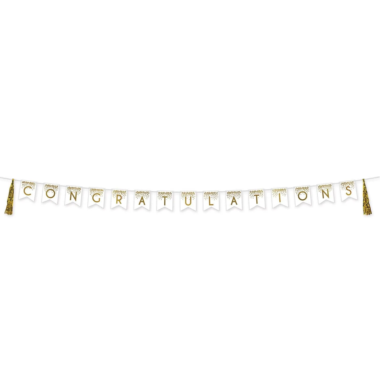 Congratulations Party Tassel Streamer